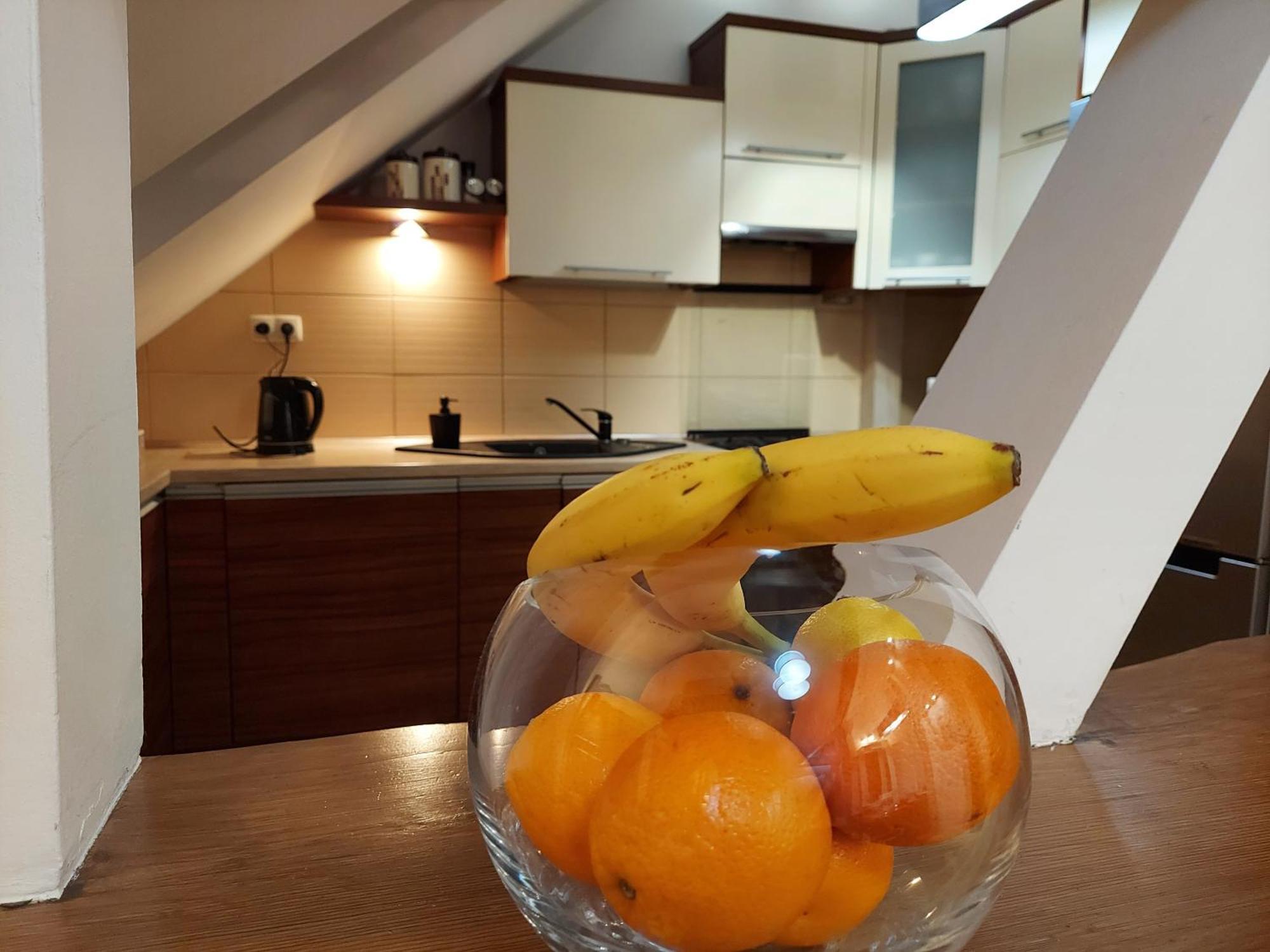 Apartment Copernicus 10 *
